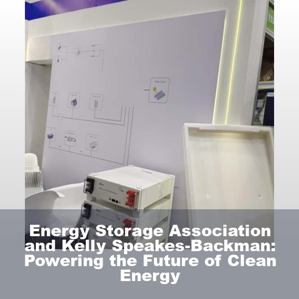 Energy Storage Association and Kelly Speakes-Backman: Powering the Future of Clean Energy